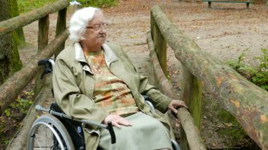 Tekerlekli sandalyedeki kıdemli kadın orman manzarasının keyfini çıkarıyor