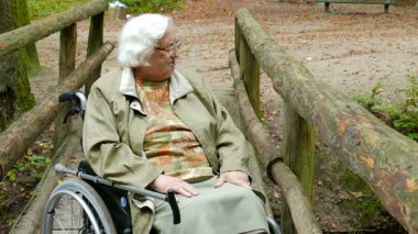 Tekerlekli sandalyedeki kıdemli kadın orman manzarasının keyfini çıkarıyor