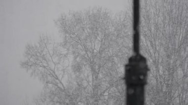 Ağır çekim bir şehir parkta yağan kar