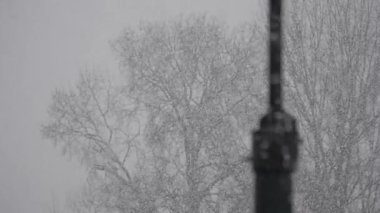 Ağır çekim bir şehir parkta yağan kar