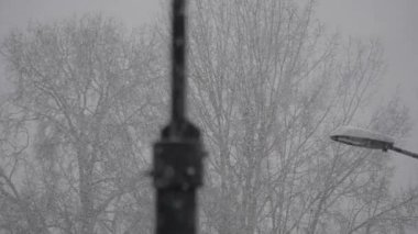 Ağır çekim bir şehir parkta yağan kar