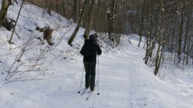 Kayakçı. Orman sahne. Adam ormanda Kayak keyfini çıkarın