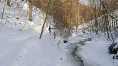Kayakçı. Orman sahne. Adam ormanda Kayak keyfini çıkarın.