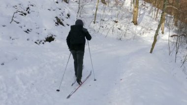 Kayakçı. Orman sahne. Adam ormanda Kayak keyfini çıkarın