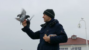 Adam güvercin besleme