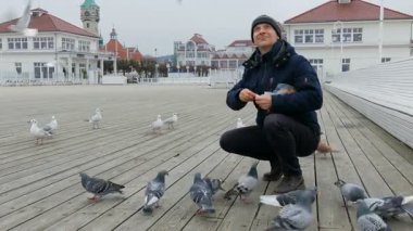 Adam rıhtımda kuşları besliyor. 