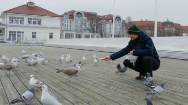 Adam rıhtımda kuşları besliyor.