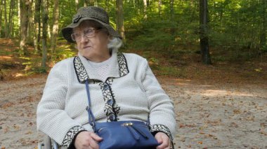 Parkta tekerlekli sandalyede pensive yaşlı kadın