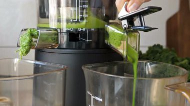 Kale, elma ve taze nane taze meyve suyu ayıklanan işlemi 