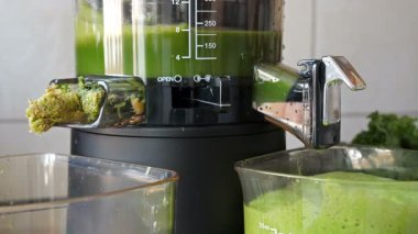 Yavaş juicer lahana, nane ve elma suyu yapıyor. Yeşil meyve suyu 