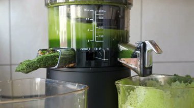 Yeşil meyve suyu. Yavaş meyve sıkacağı lahana, nane ve elma suyu yapıyor