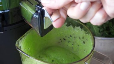 Taze lahana suyu yavaş meyve sıkacağı, ayıklama işlemi