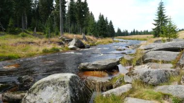 Jizera Nehri. Polonya ve Çek Cumhuriyeti sınırındaki nehir