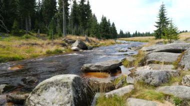 Jizera Nehri. Polonya ve Çek Cumhuriyeti sınırındaki nehir