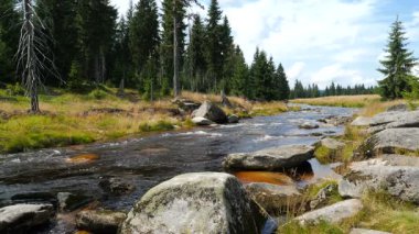 Jizera mountains nehir. Polonya doğa manzara.