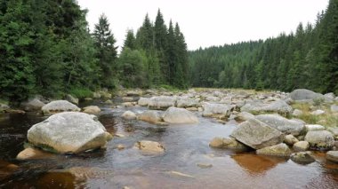 Jizera Nehri. Polonya ve Çek Cumhuriyeti sınırındaki nehir