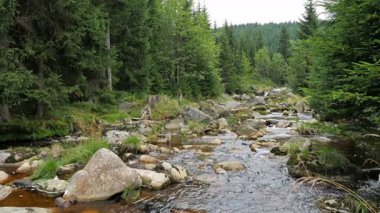 Jizera Nehri. Polonya ve Çek Cumhuriyeti sınırındaki nehir