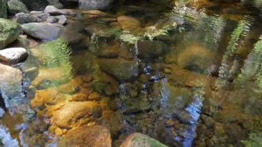 Bir dağ deresinde saf, berrak su. Doğa