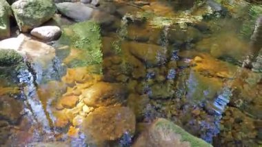 Bir dağ deresinde saf, berrak su. Doğa