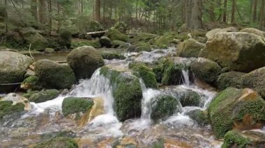 Güzel dağ nehir akan su ile