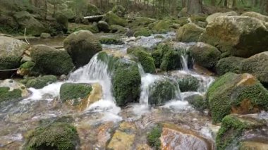 Bir dağ deresinde akan su. Doğa manzarası