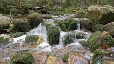 Dağ nehir akan su ile