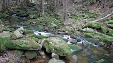 Dağ nehir akan su ile