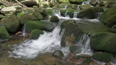 Güzel dağ nehir akan su ile