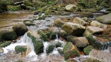 Bir dağ nehir akan su. Doğa manzara