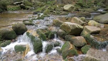 Dağ nehir akan su ile