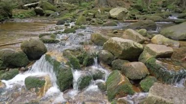 Doğa. Dağ nehri akan suyla.