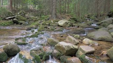 Karkonoski Ulusal Parkı'ndaki güzel dağ deresi, Polonya