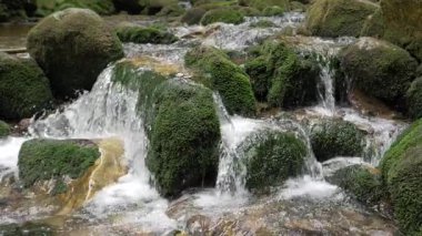 Nehirde akan su. Yavaş çekim. Doğa manzarası