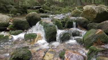 Akan bir su ile güzel bir dağ nehri. Yavaş çekim