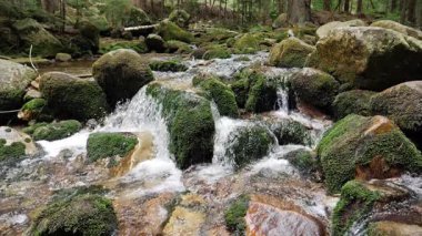 Derede akan su. Yavaş çekim. Doğa manzarası