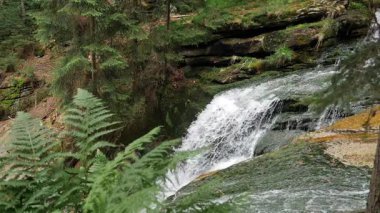 Szklarka Şelalesi, yan görüş, yavaş çekim. Karkonoski Ulusal Parkı, Polonya