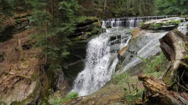 Szklarka Şelalesi, yan görüş, yavaş çekim. Karkonoski Ulusal Parkı, Polonya