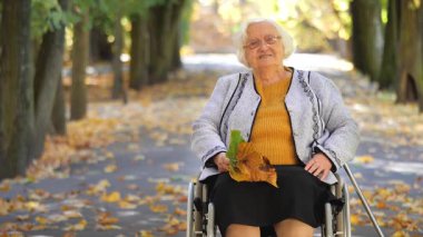 Tekerlekli sandalyedeki mutlu yaşlı bir kadının portresi. Sonbahar