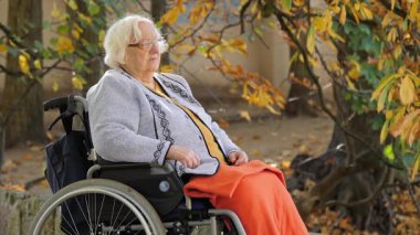 Tekerlekli sandalyede dalgın kadın kıdemli portresi mesafe içine baktı