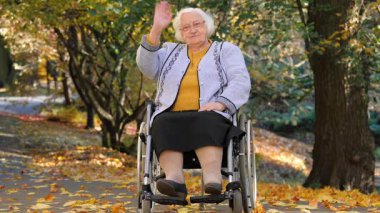 Sonbahar manzaralı tekerlekli sandalyede mutlu yaşlı bir kadının portresi.