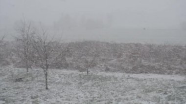 Kırsal bir alanda kar düşüyor. Yavaş hareket. Kış