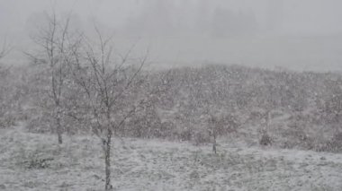 Kırsal bir alana kar yağıyor. Ağır çekim. Rüzgarlı manzara.