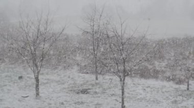 Düşen karın yavaş hareketi. Kar fırtınası, kar fırtınası