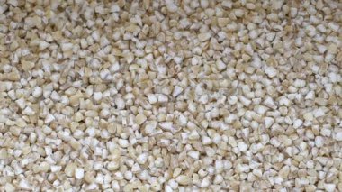 Arpa homurdanıyor. Nişastalı yemek. Görüntüyü yakınlaştır