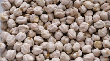 Nohut mu, nohut mu? Cicer arietinum. Kaydırıcı atışı