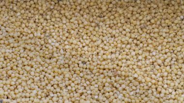 Kuru darı inliyor. Görüntüyü yakınlaştır