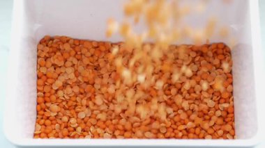 Kırmızı mercimekler depoya düşüyor. Yavaş Hareket