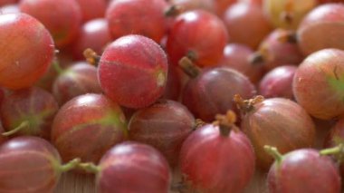 Kırmızı bektaşi üzümü. Amla. Kaydırıcı atışı