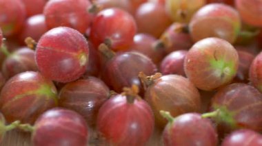 Kırmızı bektaşi üzümü. Amla. Kaydırıcı atışı
