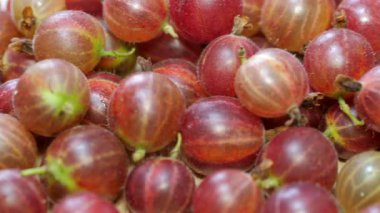 Bektaşi üzümü. Amla. Kaydırıcı atışı